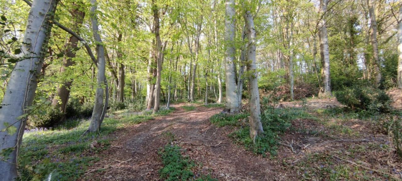 Gites 4,6 Personnes Fecamp Etretat Colleville Kültér fotó